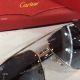 NEW Replacement Cartier Mens Sunglasses - CA0919 - Cartier Logo Lens (5)_th.jpg